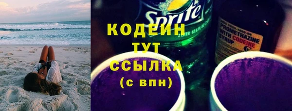 индика Баксан