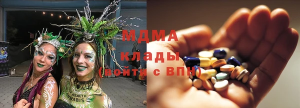 индика Баксан