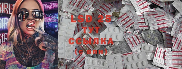 индика Баксан
