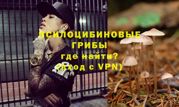 скорость Балахна
