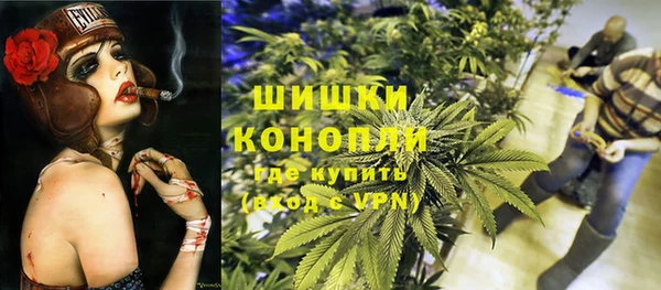 индика Баксан