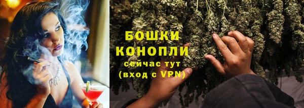 ГАЛЛЮЦИНОГЕННЫЕ ГРИБЫ Сосновый Бор